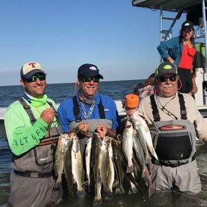 Meet your Posher, Larry